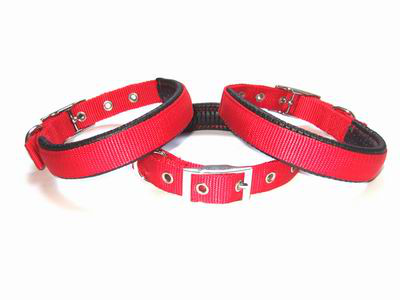 Dog collar with foaming needle
