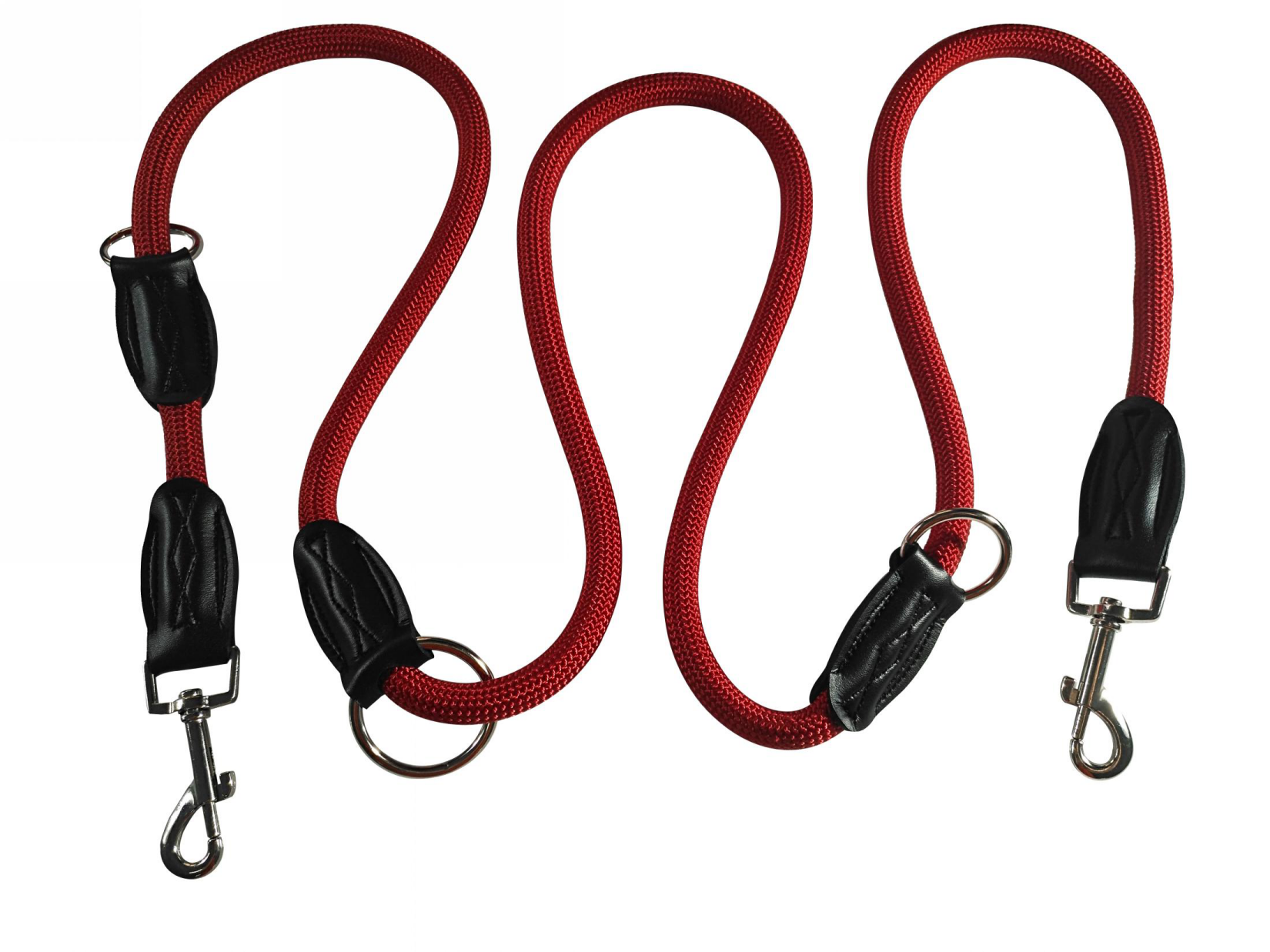 Two - headed hook dog leash