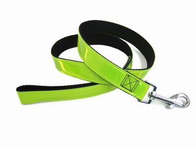Fluorescent leather dog leash